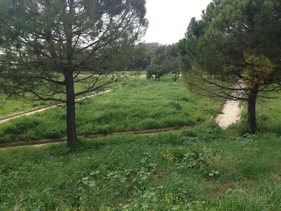 Parco Archeologico delle Mura Greche